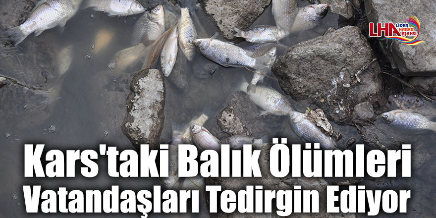 Kars'taki Balık Ölümleri Vatandaşları Tedirgin Ediyor