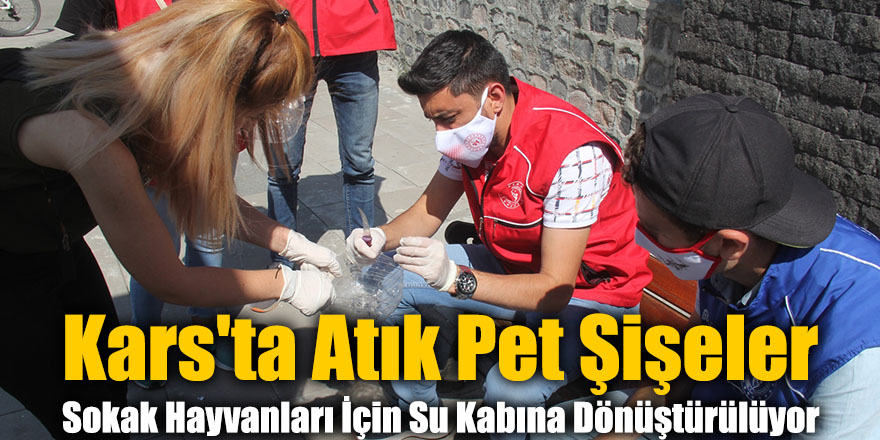 Kars'ta Atık Pet Şişeler Sokak Hayvanları İçin Su Kabına Dönüştürülüyor