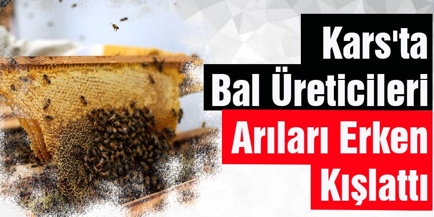 Kars'ta Bal Üreticileri Arıları Erken "Kışlattı"