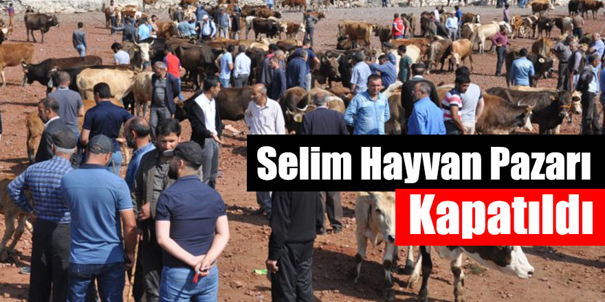 Selim Hayvan Pazarı Kapatıldı