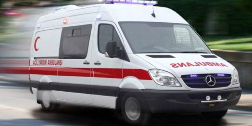 Selim’de trafik kazası: 1 yaralı