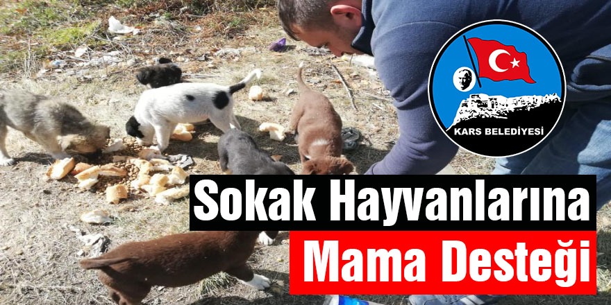 Kars Belediyesi’nden Sokak Hayvanlarına Mama Desteği