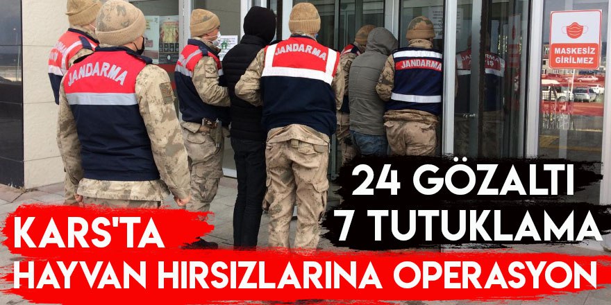 Kars'ta Hayvan Hırsızlarına Operasyon 24 Gözaltı 7 Tutuklama