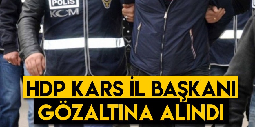 HDP Kars İl Başkanı Gözaltına Alındı