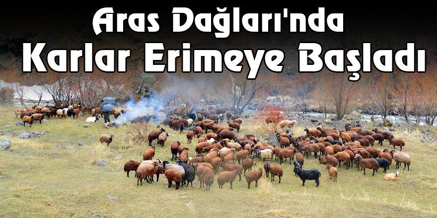 Aras Dağları'nda Karlar Erimeye Başladı