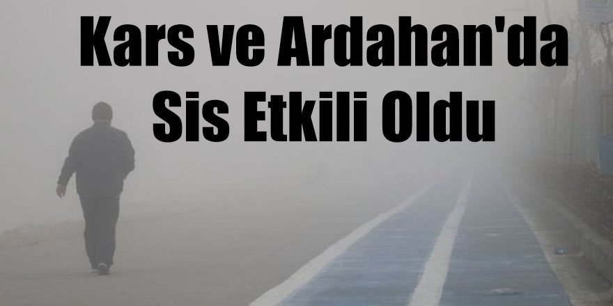 Kars ve Ardahan'da sis etkili oldu