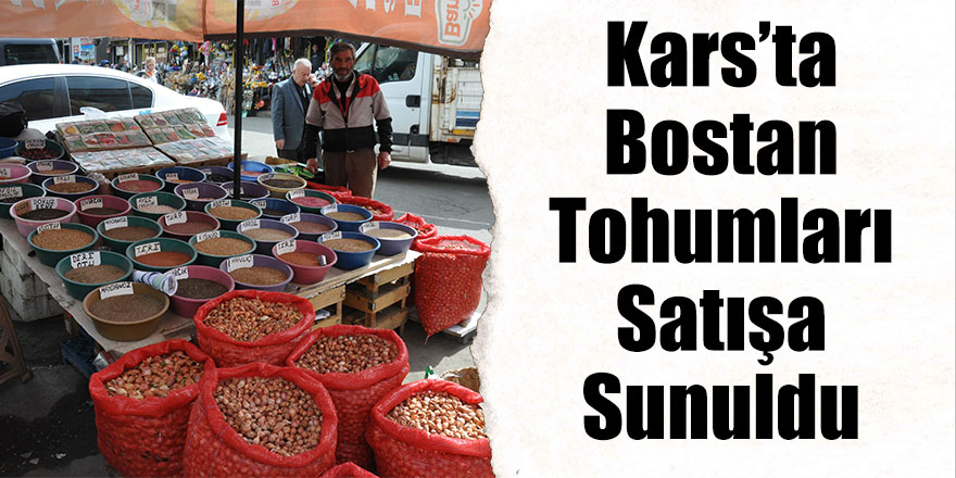 Kars’ta bostan tohumları satışa sunuldu