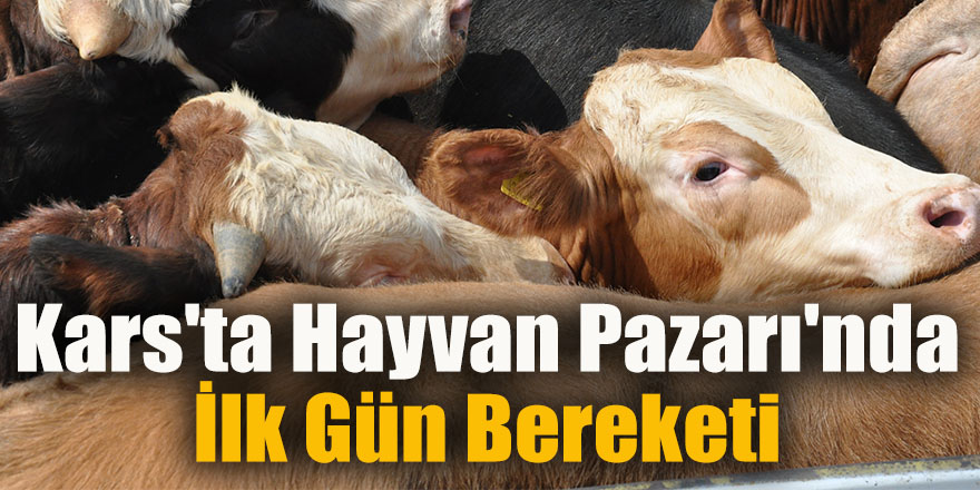 Kars'ta Hayvan Pazarı'nda ilk gün bereketi