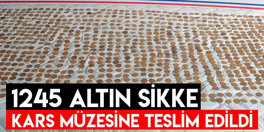 1245 Altın Sikke Kars Müzesine Teslim Edildi