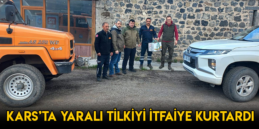 Kars’ta Yaralı Tilkiyi İtfaiye Kurtardı