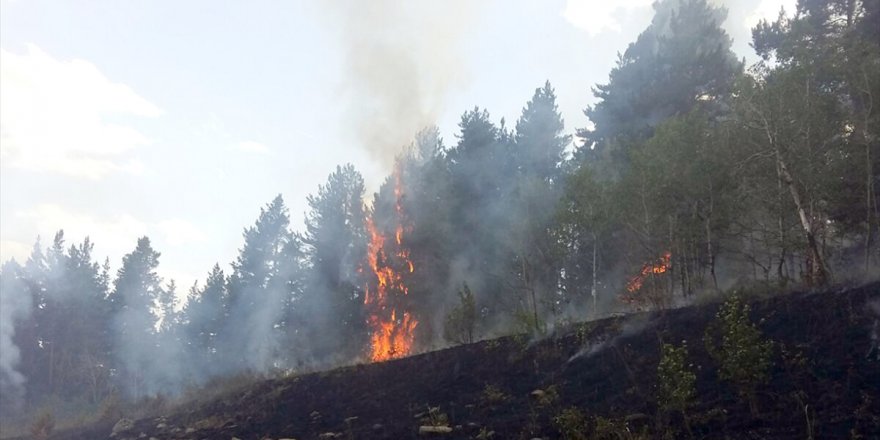 Sarıkamış'ta Orman Yangını