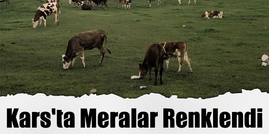 Kars'ta Meralar Renklendi