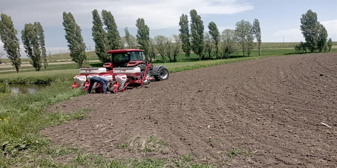 Kars’ta Silajlık Soya" Bitkisinin Demonstrasyon ekimi yapıldı