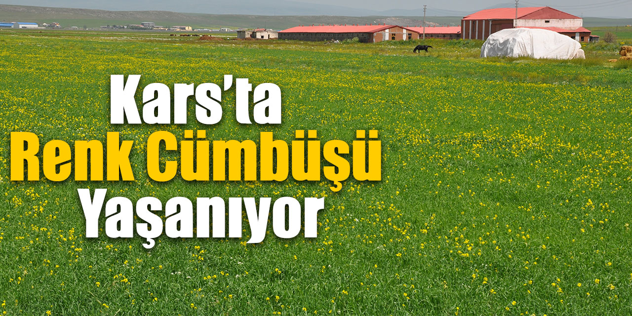 Kars’ta renk cümbüşü yaşanıyor