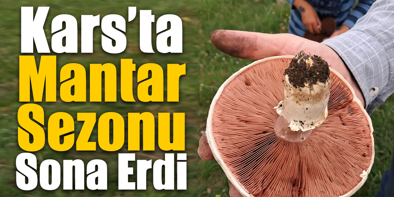 Kars’ta mantar sezonu sona erdi