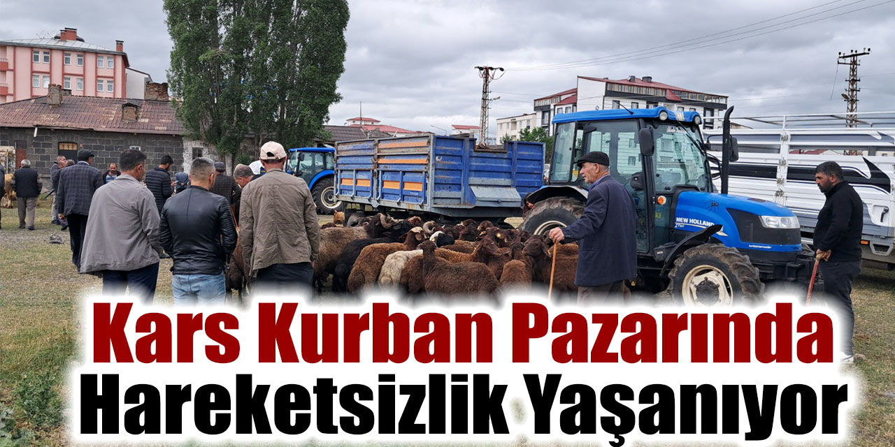 Kars Kurban Pazarında Hareketsizlik Yaşanıyor