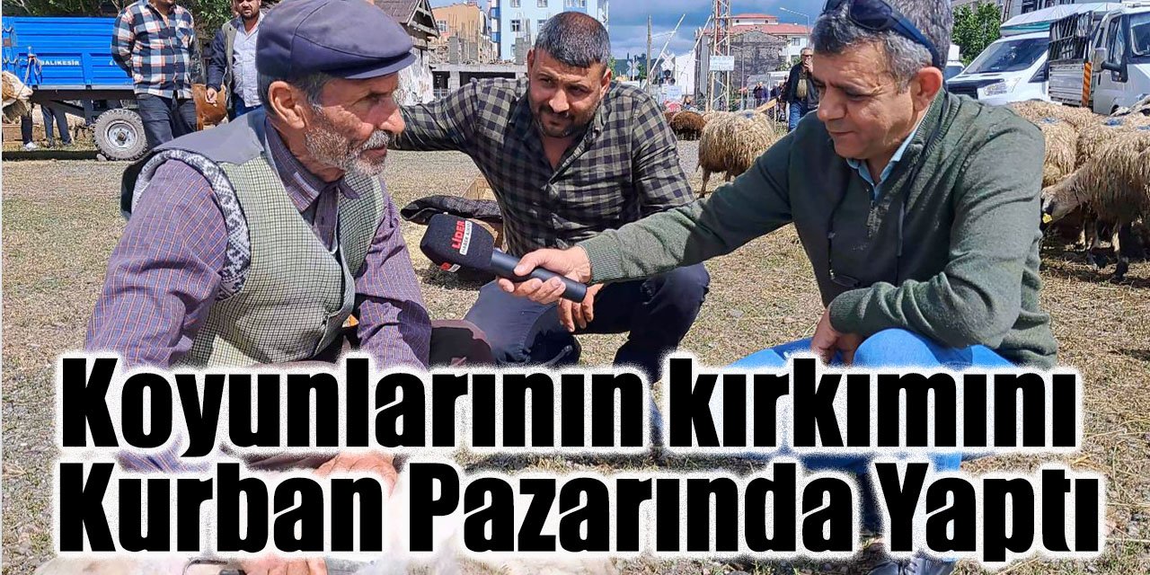 Koyunlarının kırkımını Kurban Pazarında Yaptı