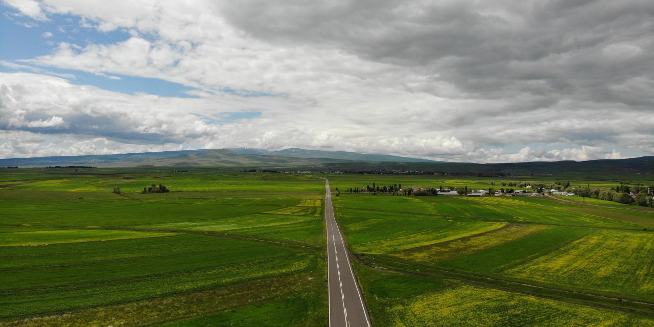 Kars rengarenk çiçek açtı