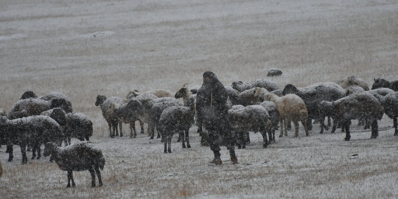 Kars'ta kar yağışına hazırlıksız yakalanan besiciler zor anlar yaşadı