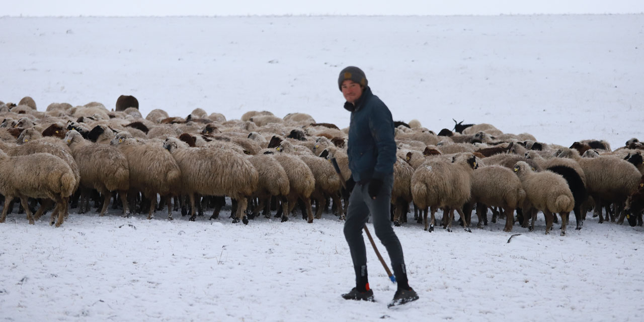 Kars'ta Merada Kar Yağışına Yakalanan Besiciler Zor Anlar Yaşadı