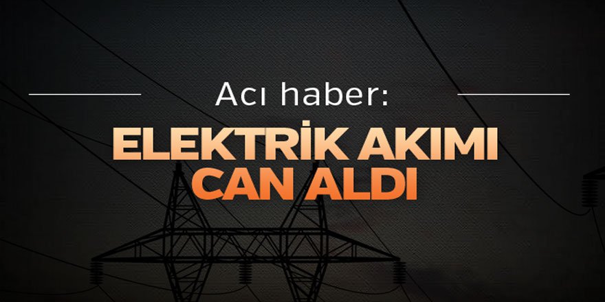 Ardahan'da elektrik akımına kapılan kişi öldü
