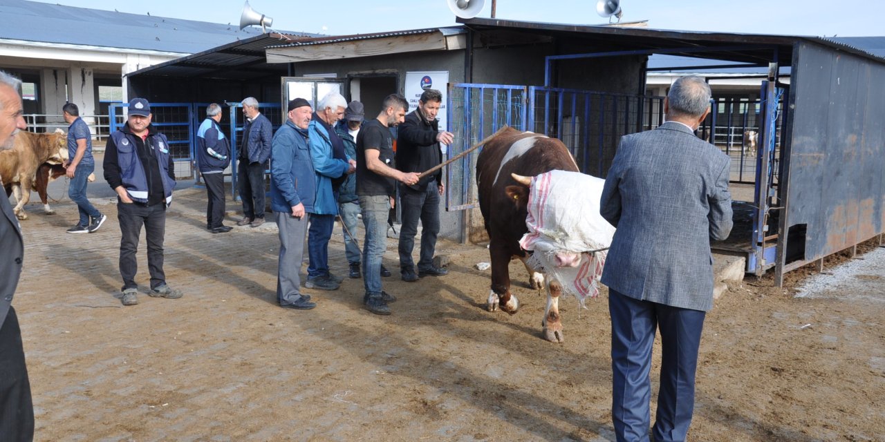 Kars'ta kurban satışları başladı