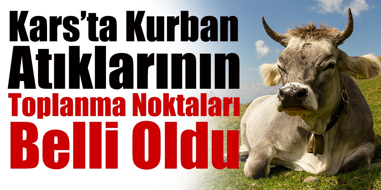 Kars’ta Kurban Atıklarının Toplanma Noktaları Belli Oldu