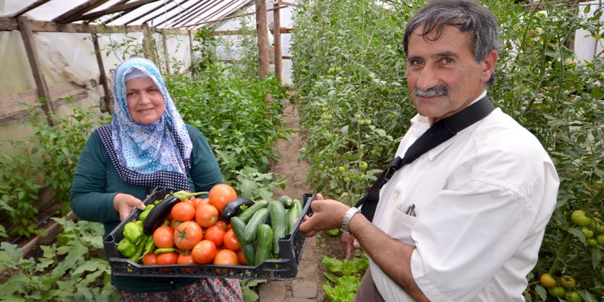 Soğuk topraklarda sera kurup organik ürün aldılar