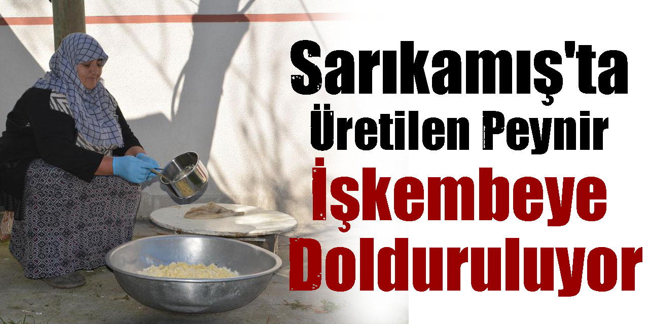 Sarıkamış'ta Üretilen Peynir İşkembeye Dolduruluyor