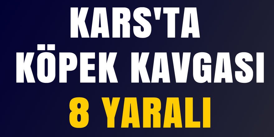 Kars'ta "köpek" kavgası: 8 yaralı