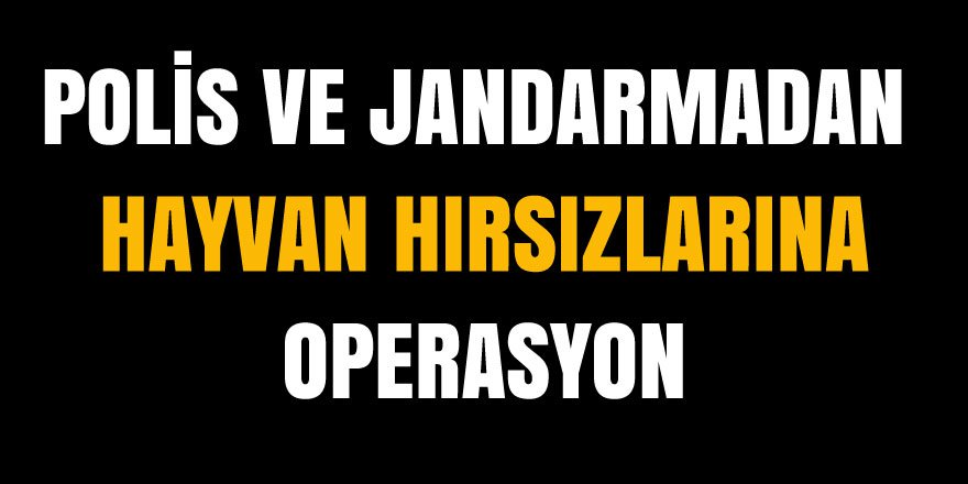 Polis ve jandarmadan hayvan hırsızlarına operasyon