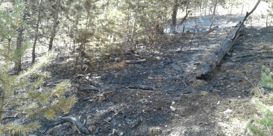 Sarıkamış'ta orman yangını söndürüldü