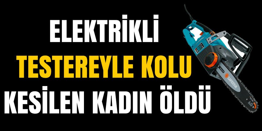 Kars'ta Elektrikli testereyle kolu kesilen kadın öldü