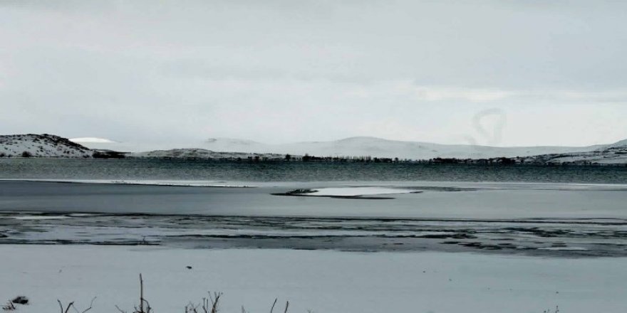 Çıldır Gölü Buz Tutmaya Başladı