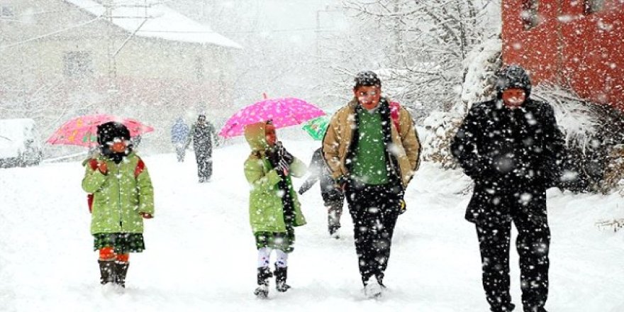 Kars'ta okullara kar tatili