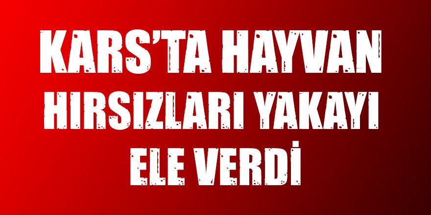 Kars’ta hayvan hırsızları yakayı ele verdi