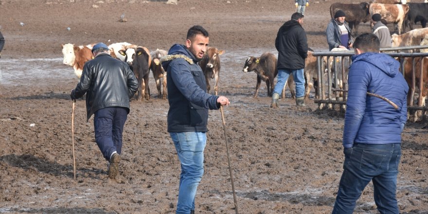 Kars'ta besicilerden "çamur" eylemi