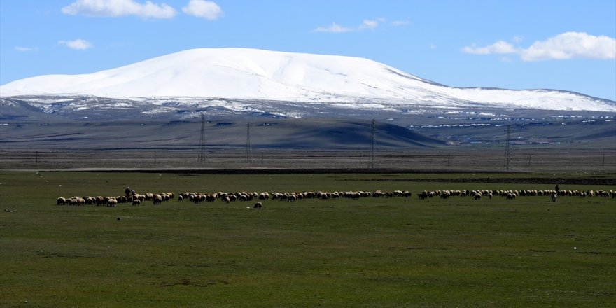 Kars'ta "bahar" görsel şölen sunuyor