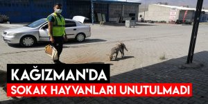 Kağızman'da Sokak Hayvanları Unutulmadı
