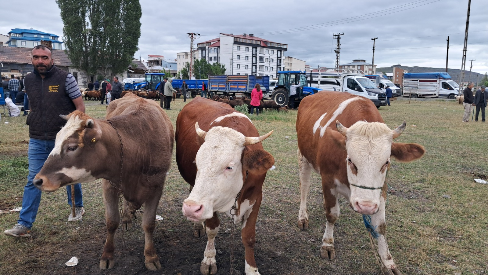 kars-kurban-pazarinda-hareketsizlik-yasaniyor-6.jpeg