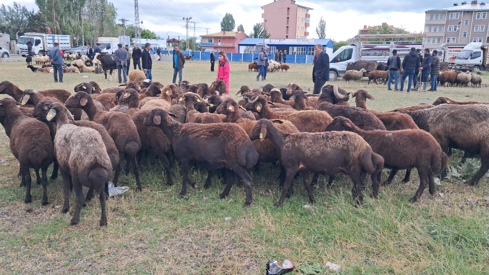 kars-kurban-pazarinda-hareketsizlik-yasaniyor-7.jpeg