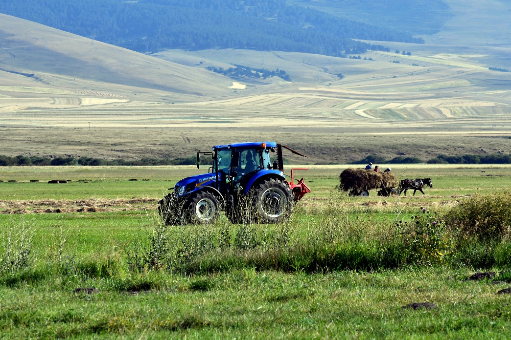 karsta-ciftciler-bunaltici-sicakta-arpa-hasat-ediyor-5.jpg