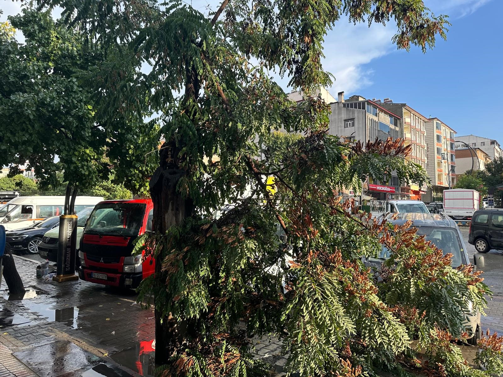 aw283553-04.jpg